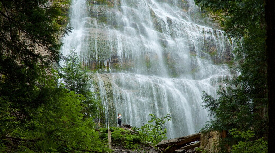 Bridal Veil Falls featuring a cascade