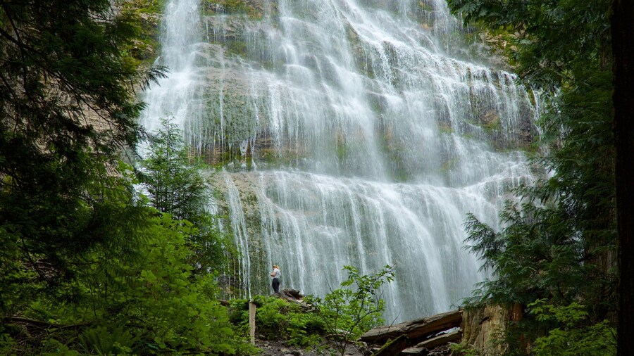 Bridal Veil Falls featuring a cascade