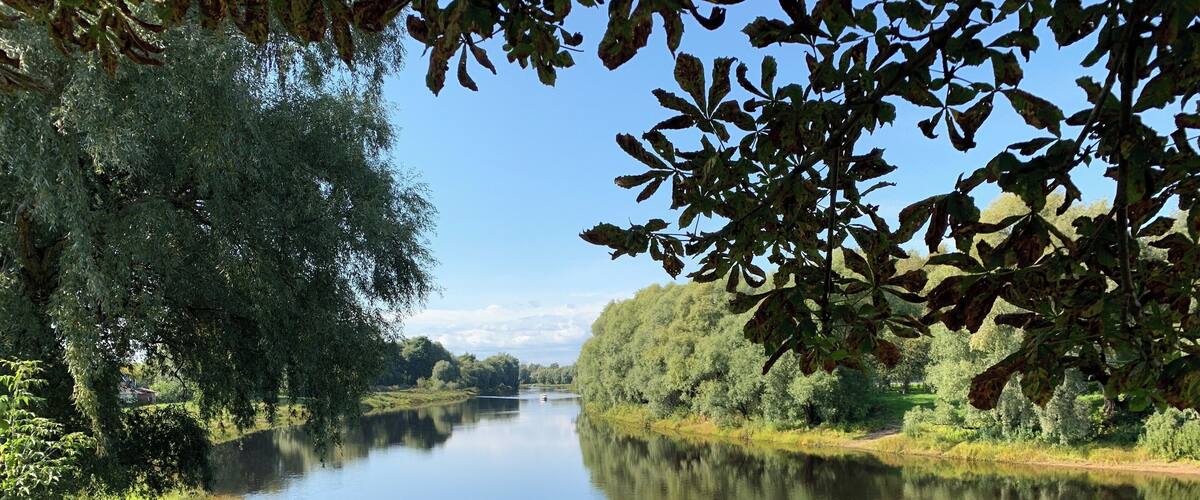 A calm river with dense greenery on both sides, a clear sky, and a distant bridge.