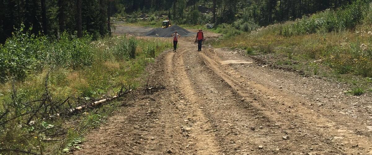 A dirt road leading into a forested area with a vehicle and two people walking.