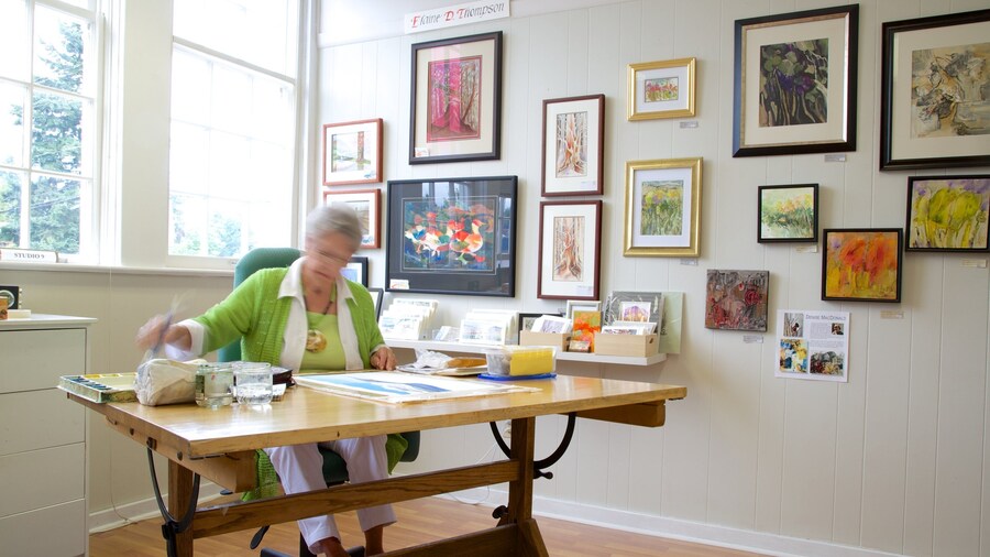 The Old School House Arts Centre featuring interior views and art as well as an individual femail