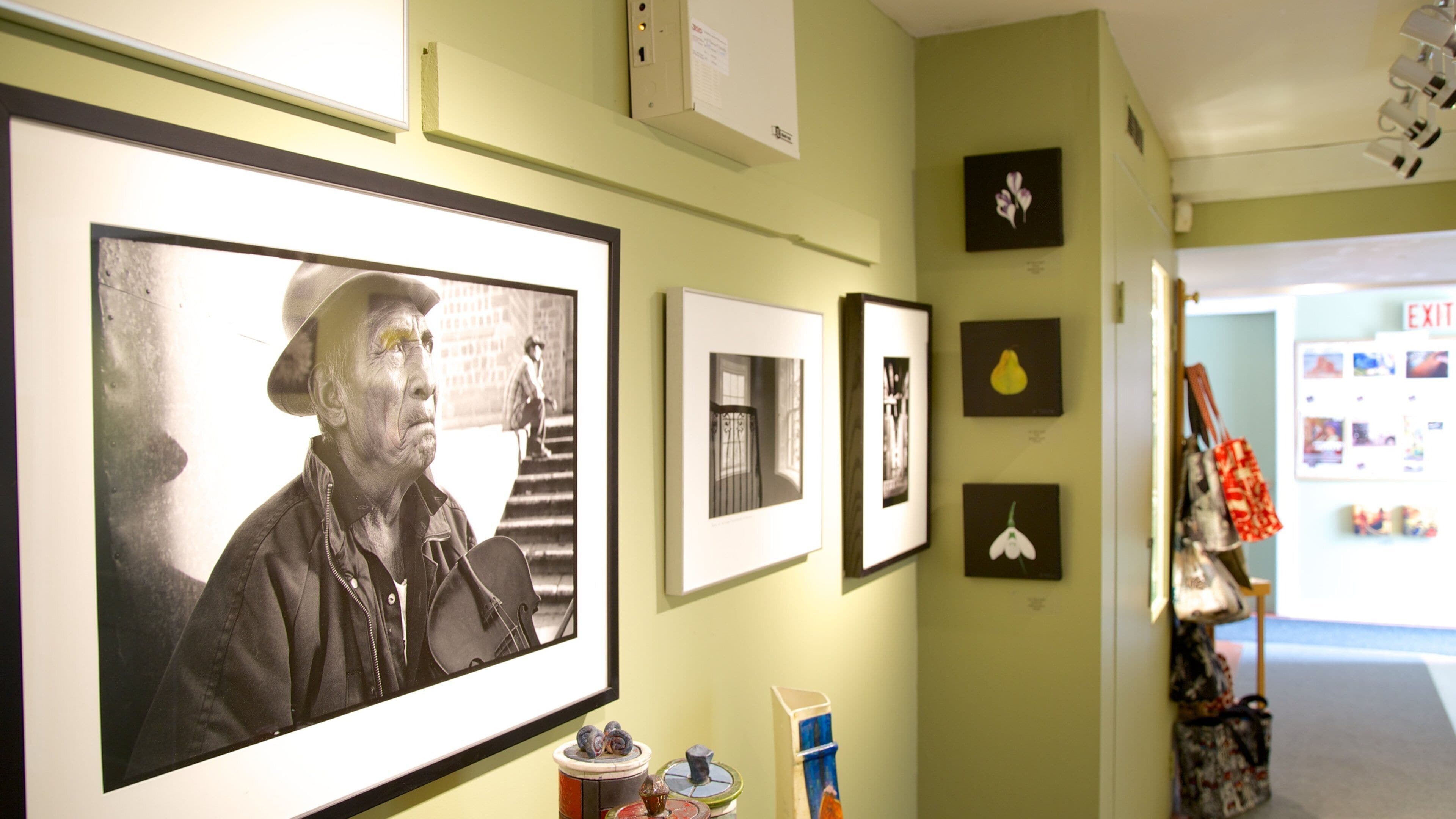 Centro artístico Old School House Arts Centre que incluye vistas de interior y arte