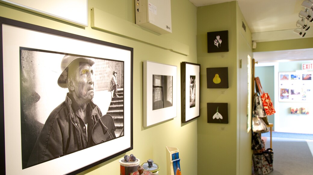 Centro artístico Old School House Arts Centre que incluye vistas de interior y arte