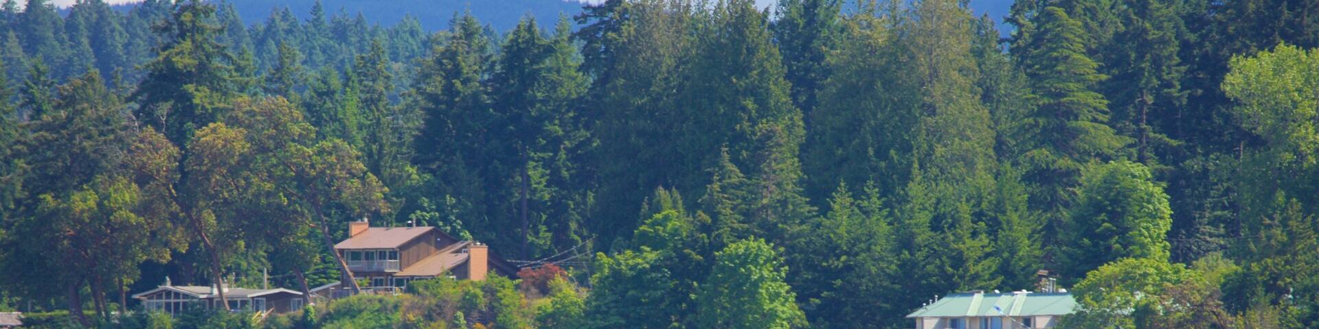 Rathtrevor Beach Provincial Park showing tranquil scenes, a small town or village and a beach