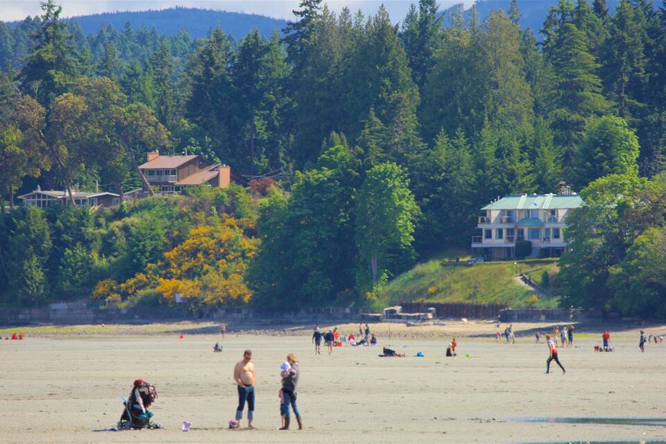 A beach with people, a large house on a hill, and dense forest in the background.