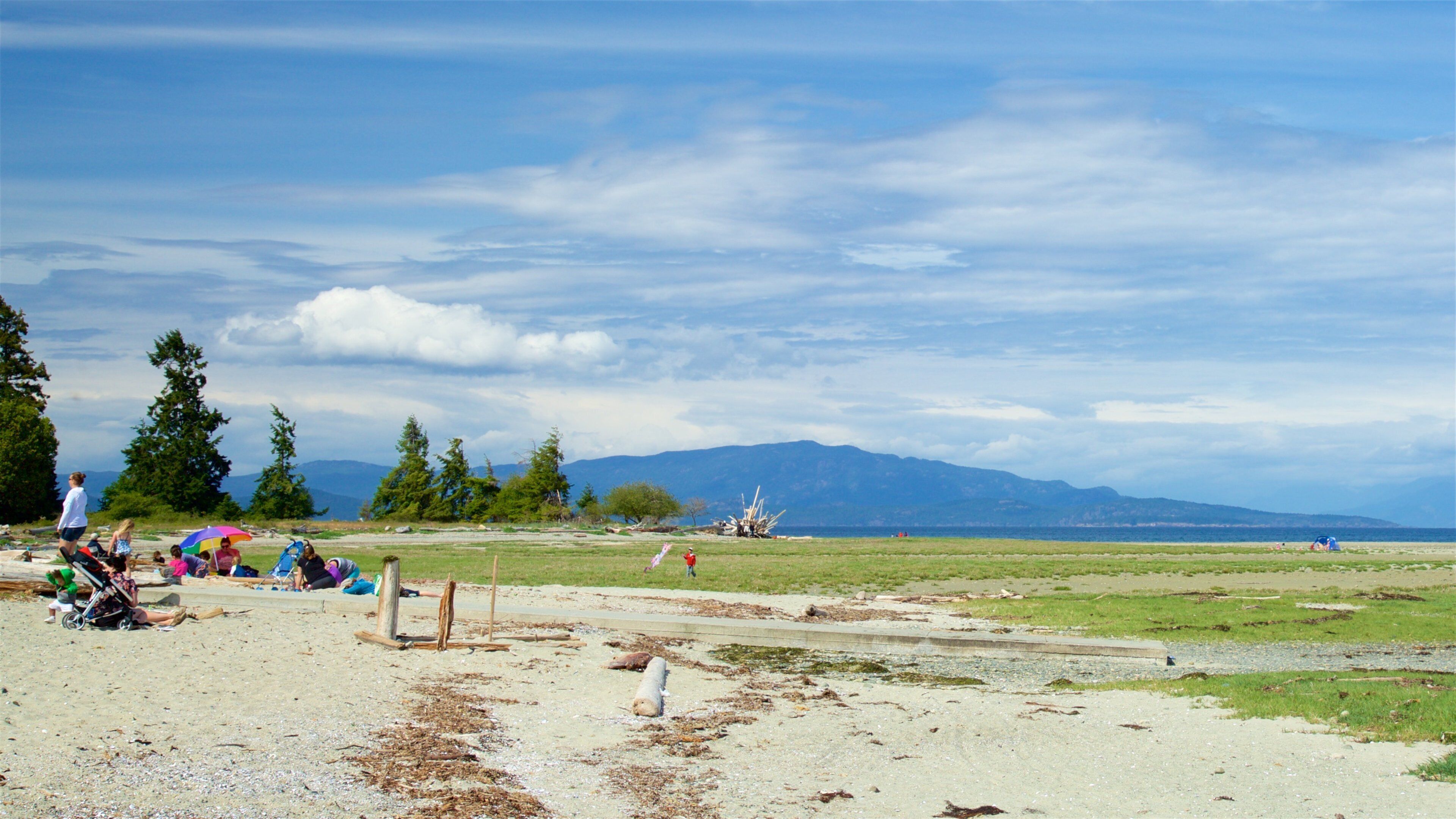 Rathtrevor Beach Provincial Park which includes tranquil scenes and landscape views as well as a small group of people