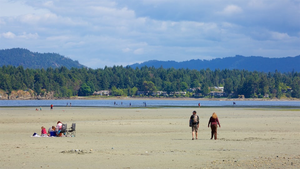 A beach with people walking and sitting, a forested hillside in the background, and a calm body of water.