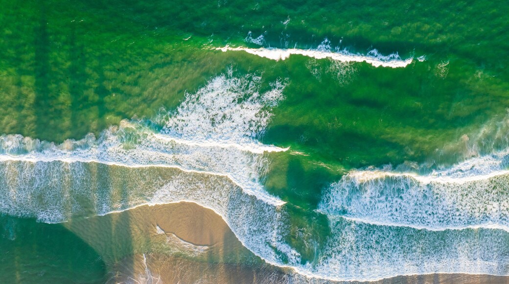 Shoalhaven Heads