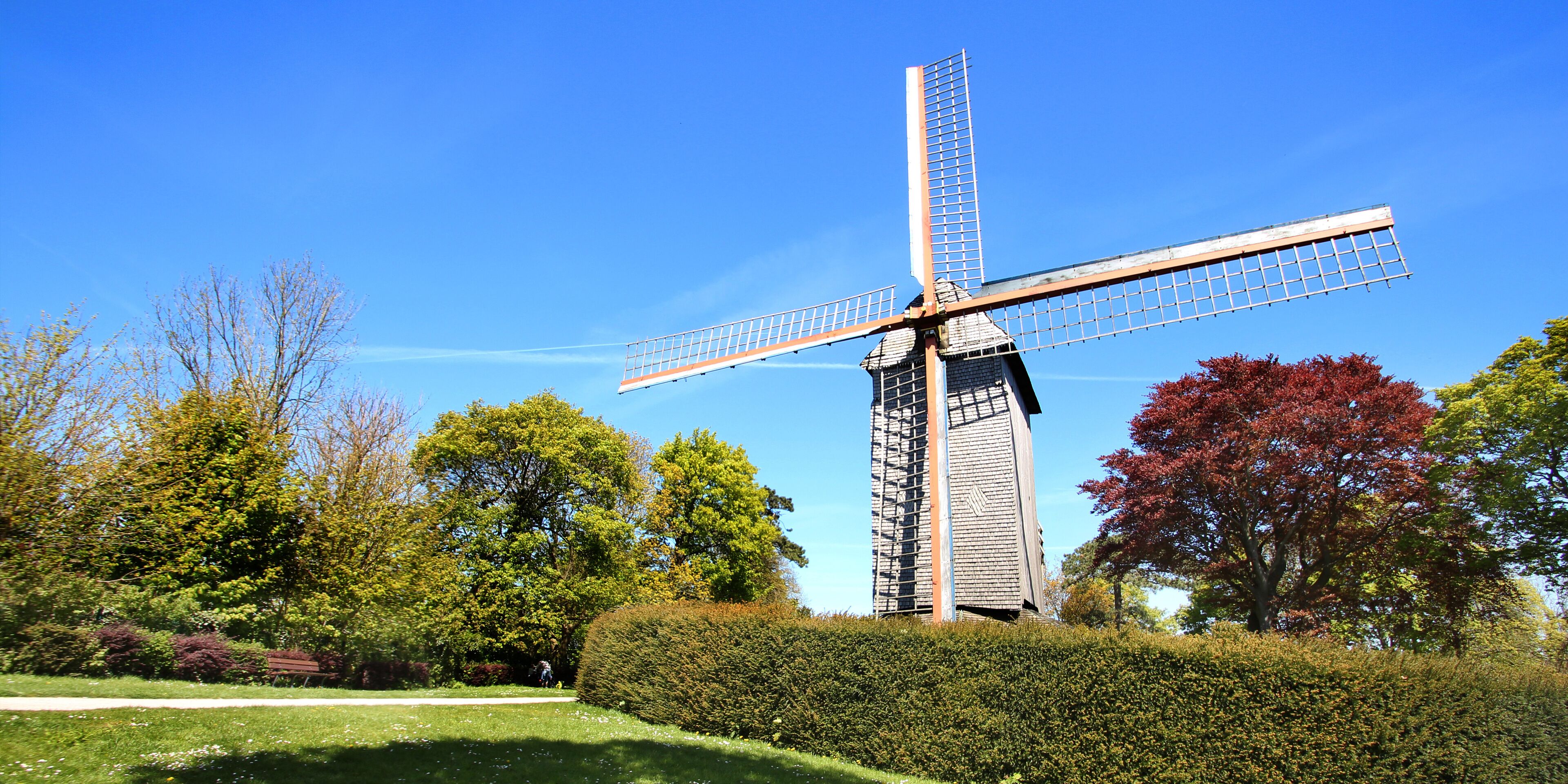 A windmill in a park with trees and a clear blue sky.