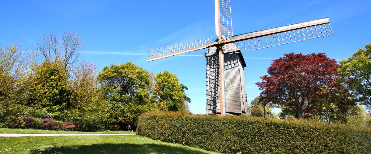 A windmill in a park with trees and a clear blue sky.