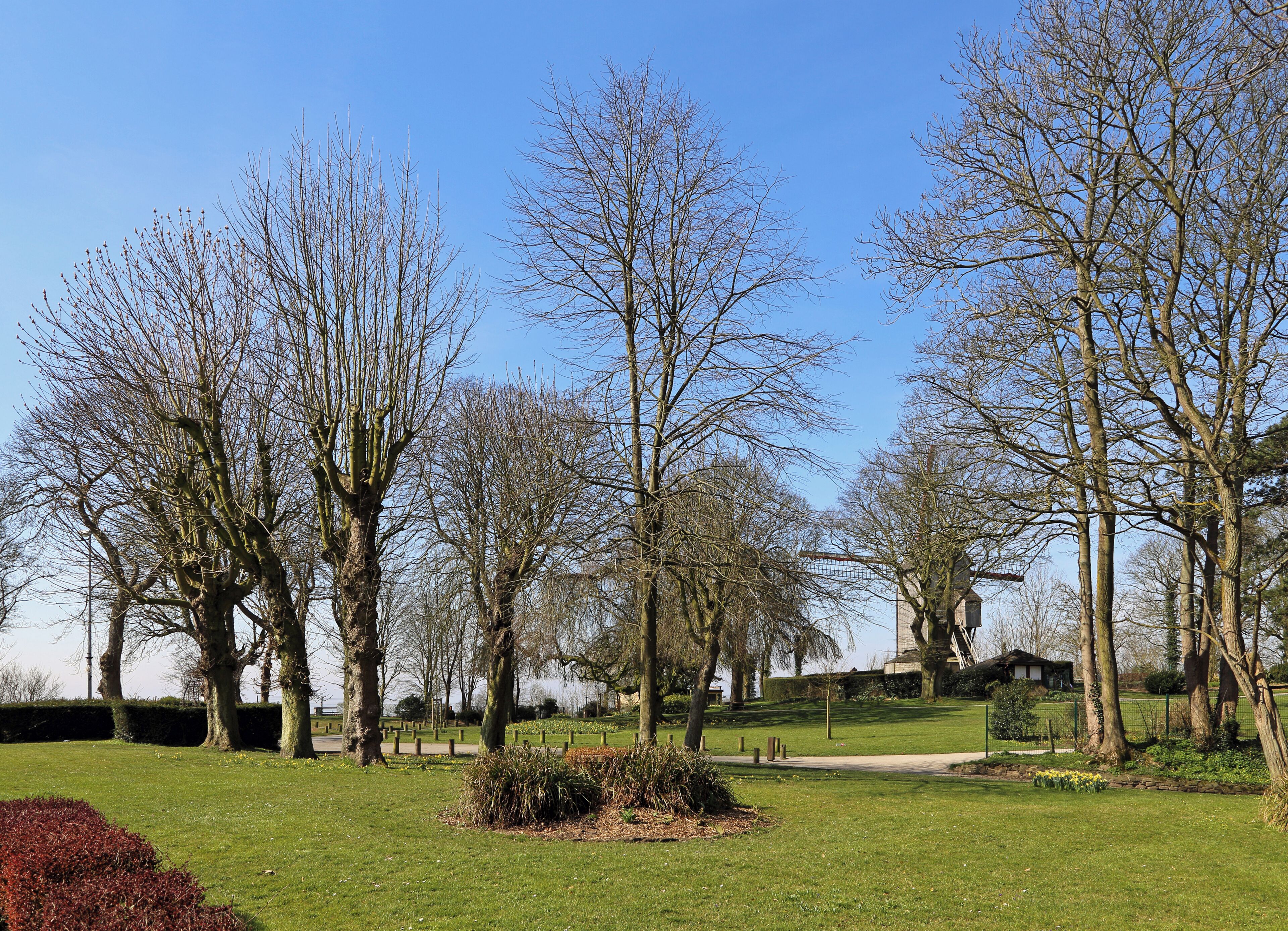 Cassel (département du Nord, France): municipal park