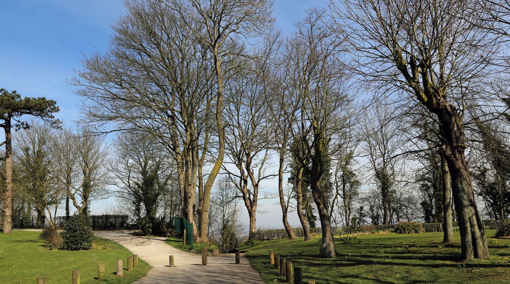 Cassel (département du Nord, France): municipal park