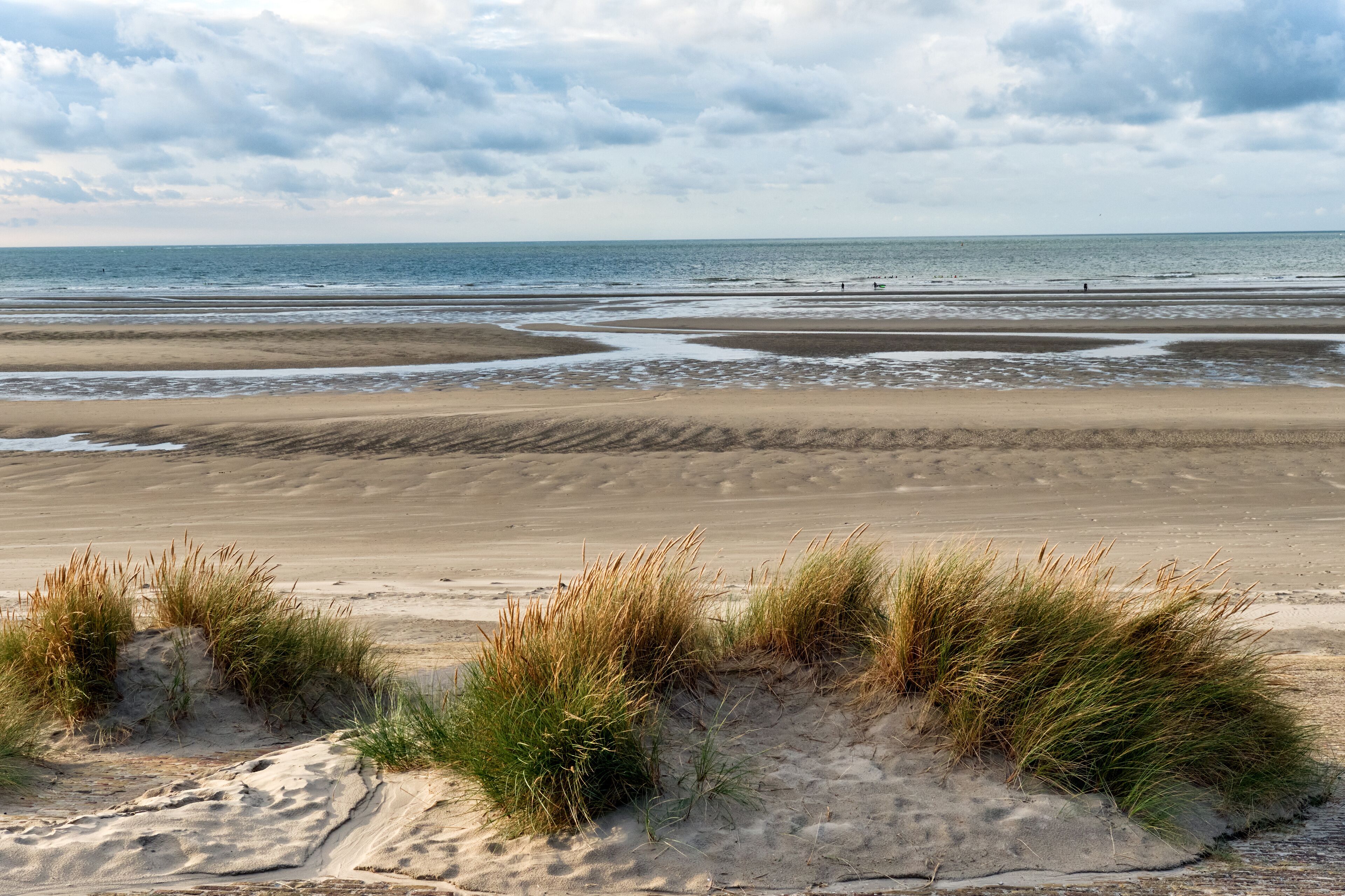 breakwater and marram grass over dunes and storm clouds at Malo-Les-Bains beach in Dunkirk, france