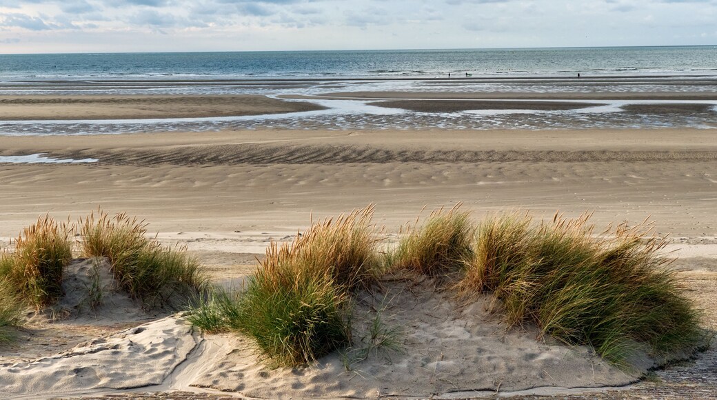 breakwater and marram grass over dunes and storm clouds at Malo-Les-Bains beach in Dunkirk, france