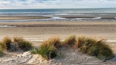 A beach with sand dunes and the ocean in the background.