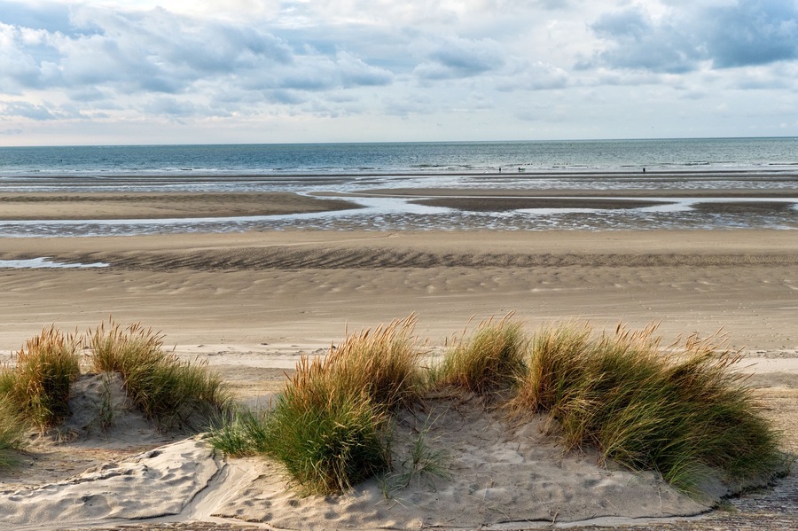breakwater and marram grass over dunes and storm clouds at Malo-Les-Bains beach in Dunkirk, france
