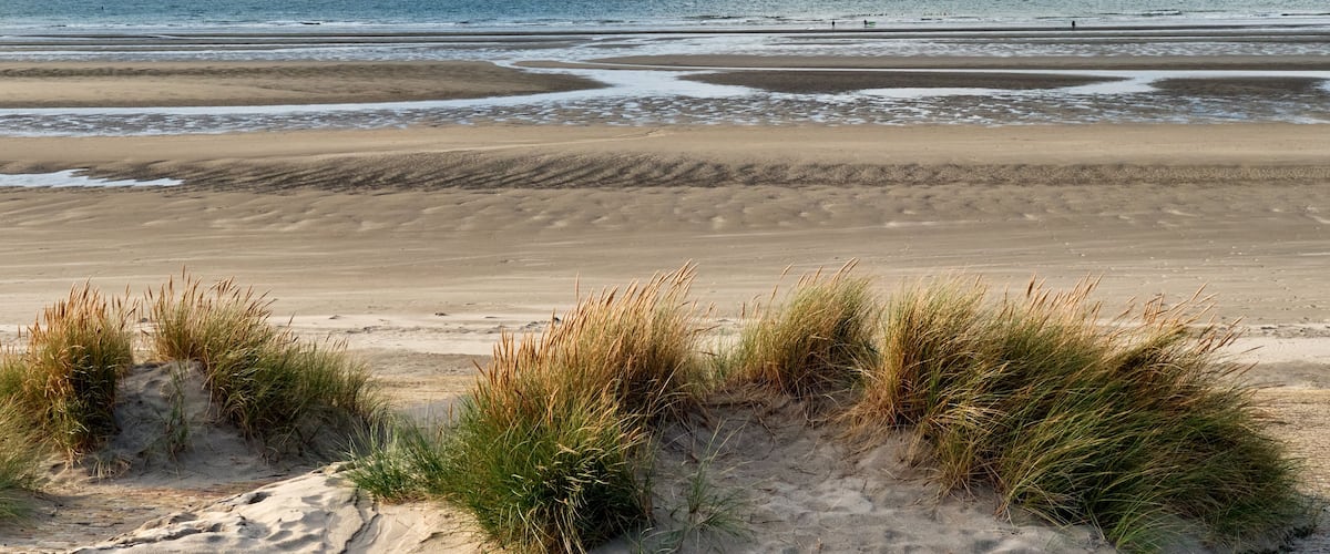 A beach with sand dunes and the ocean in the background.