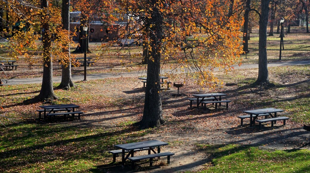 Pelham Bay Park, The Bronx, New York, NY, USA: Picnic tables beneath trees in fall foliage on a sunny November day.