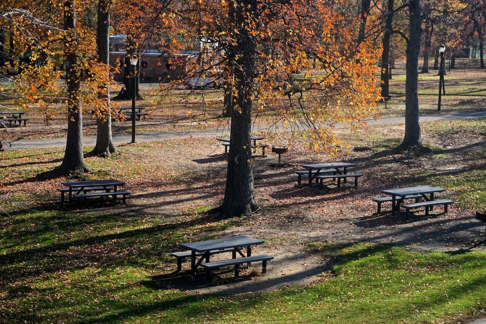 A park with picnic tables and trees with autumn leaves.