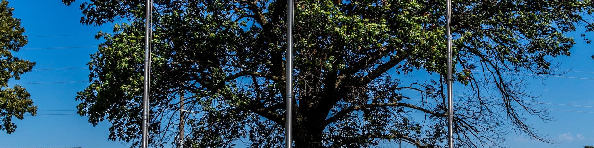 Veterans Memorial Park