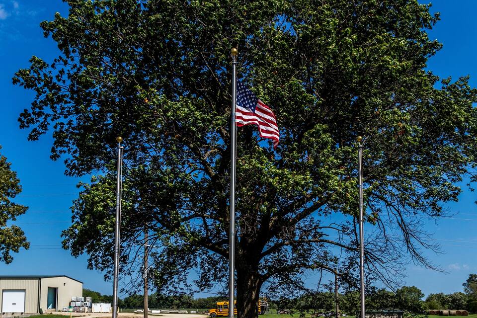 Un mât sur lequel flotte le drapeau américain, situé devant un grand arbre.