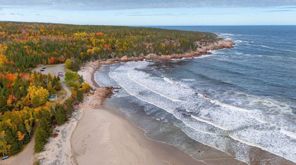 A coastal landscape with a sandy beach, a rocky shoreline, and a forested area with autumn-colored trees.