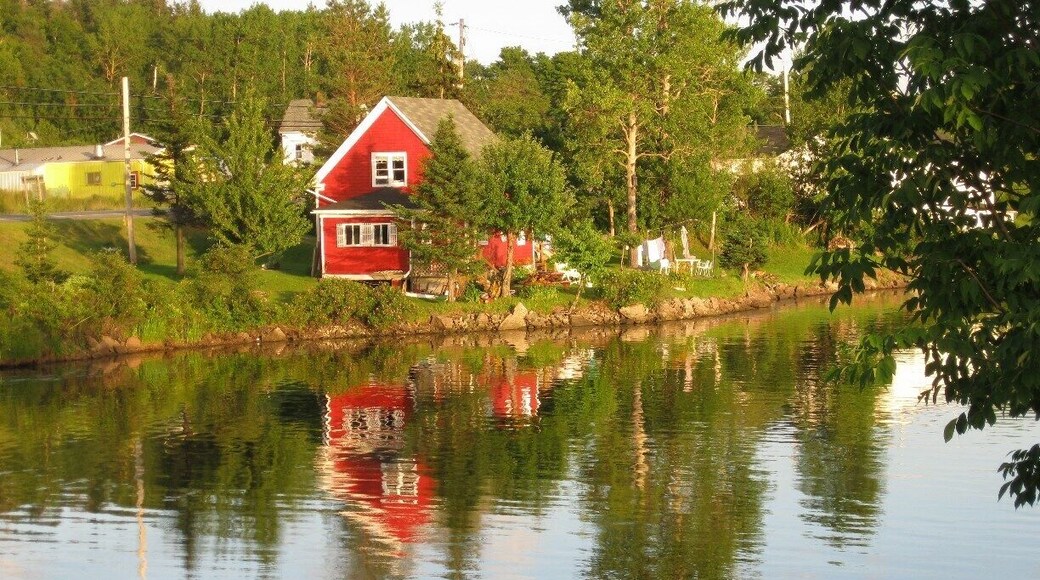 Right off the main highway, near the post office, sits this tranquil view. Just after taking this photo, two eagles landed close by to enjoy some delicacy they'd just captured.