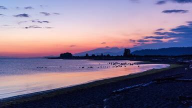 Serene Sunset Over Iona Beach in Greater Vancouver, BC, Canada
