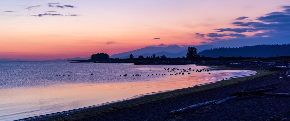 A sunset over a beach with ducks and a mountain in the background.