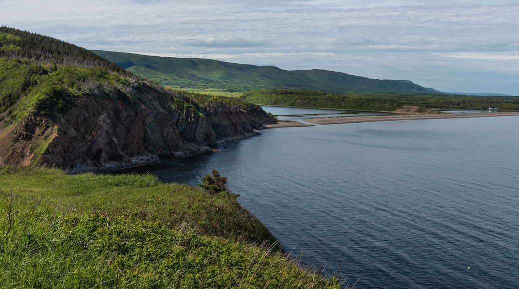 خليج بليسانت