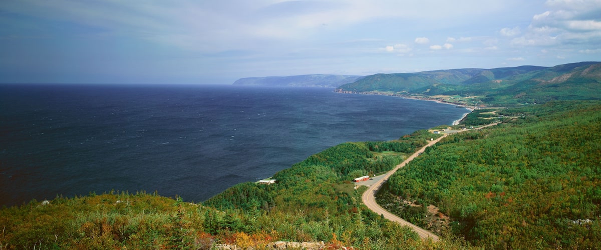 A coastal landscape with a winding road, dense forest, and a view of the ocean.