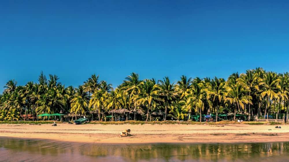 El Cuco is the widest and longest beach I've ever been to! El Salvador is so full of surprises.