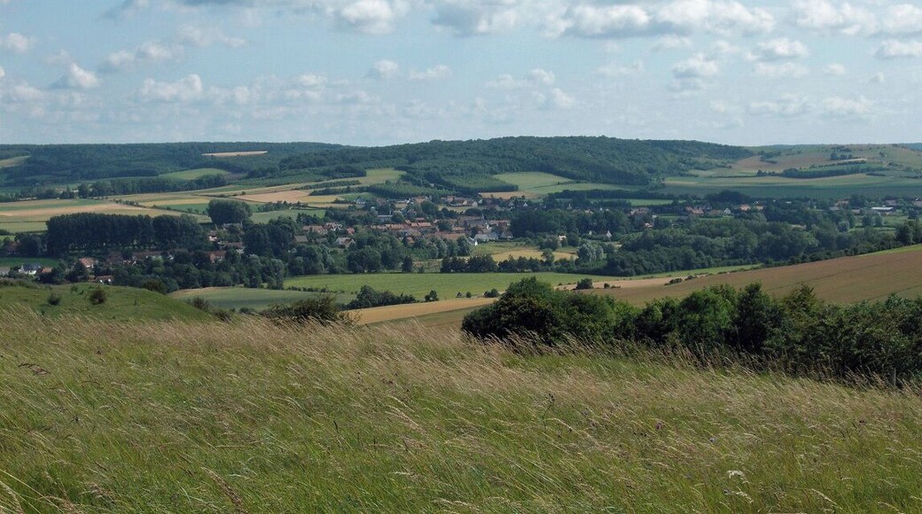 Bonningues-les-Ardres