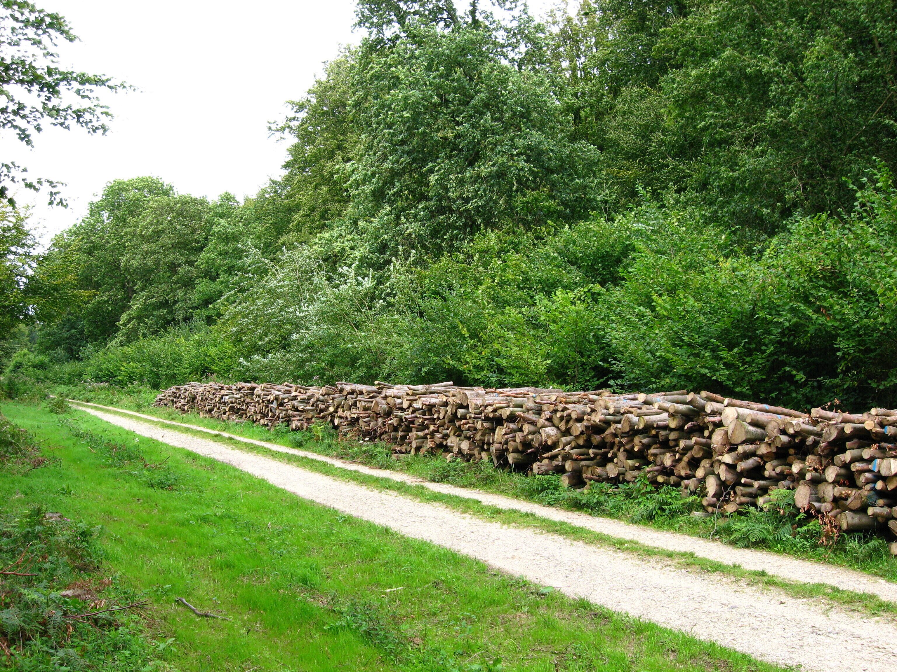 Chemin de la Noire Vallée