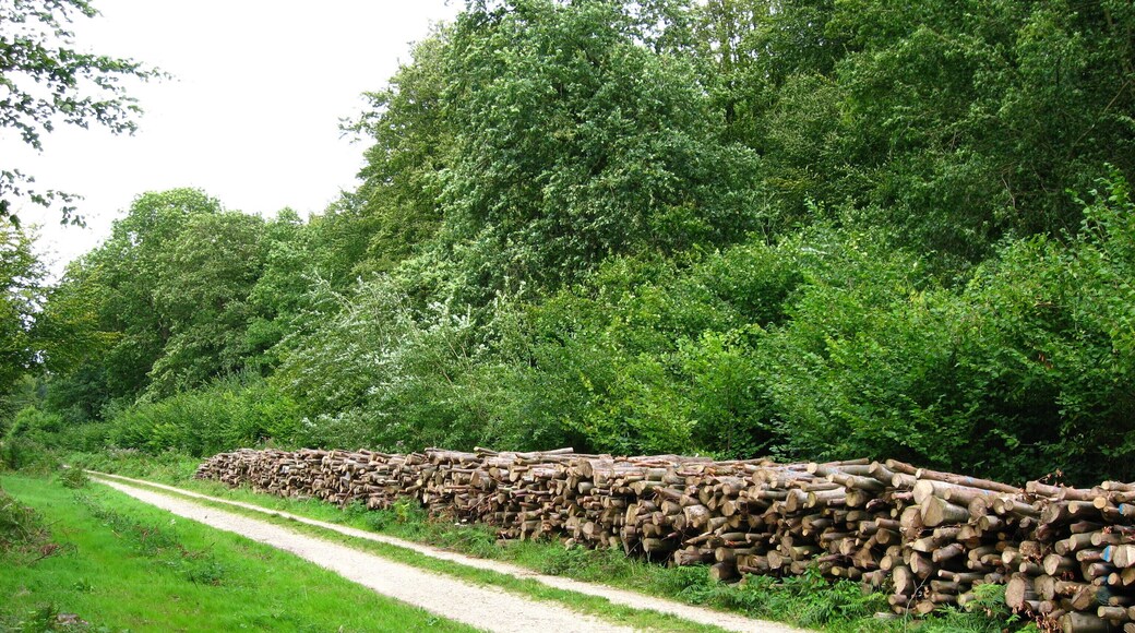 Chemin de la Noire Vallée