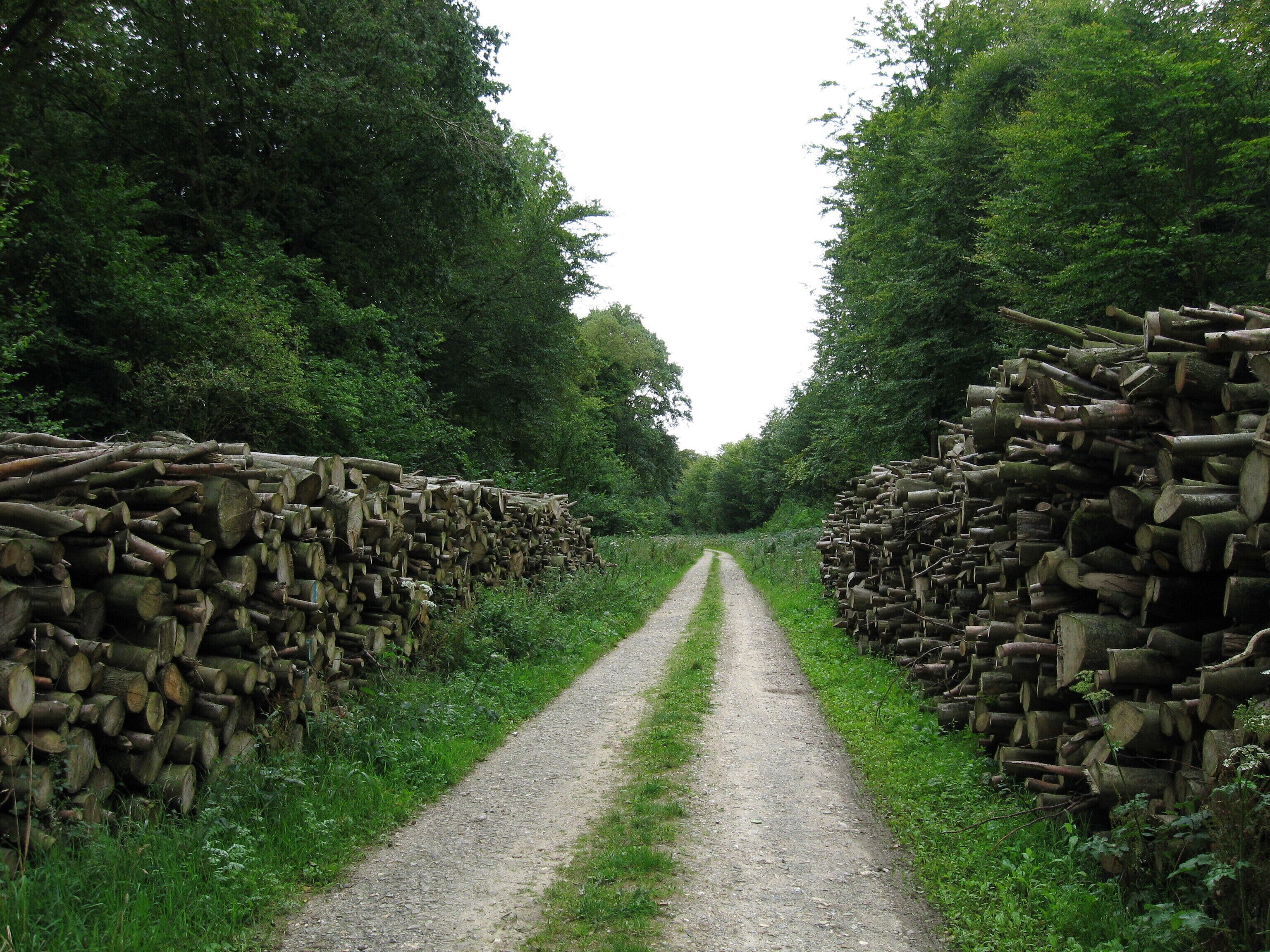 Chemin de la Noire Vallée