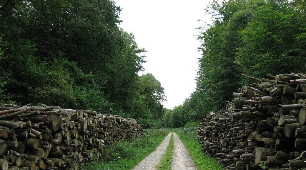 Chemin de la Noire Vallée