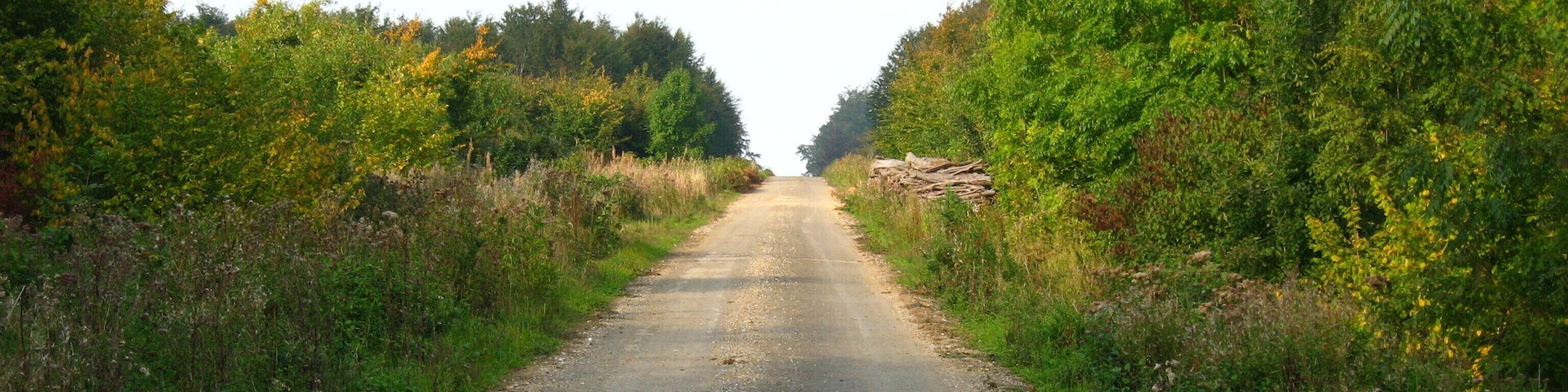 Route forestière de la Vallée Paul