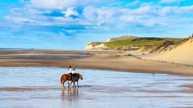 Cap Blanc-Nez vu de la plage de Wissant, Pas-de-Calais - France