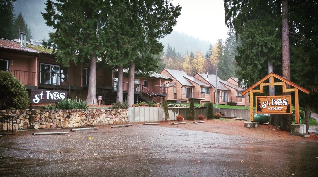 Cute little resort area tucked away in the North Side of Shuswap Lake.