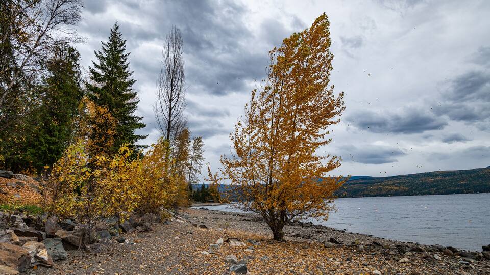A rocky shoreline with autumn-colored trees and a lake in the background.