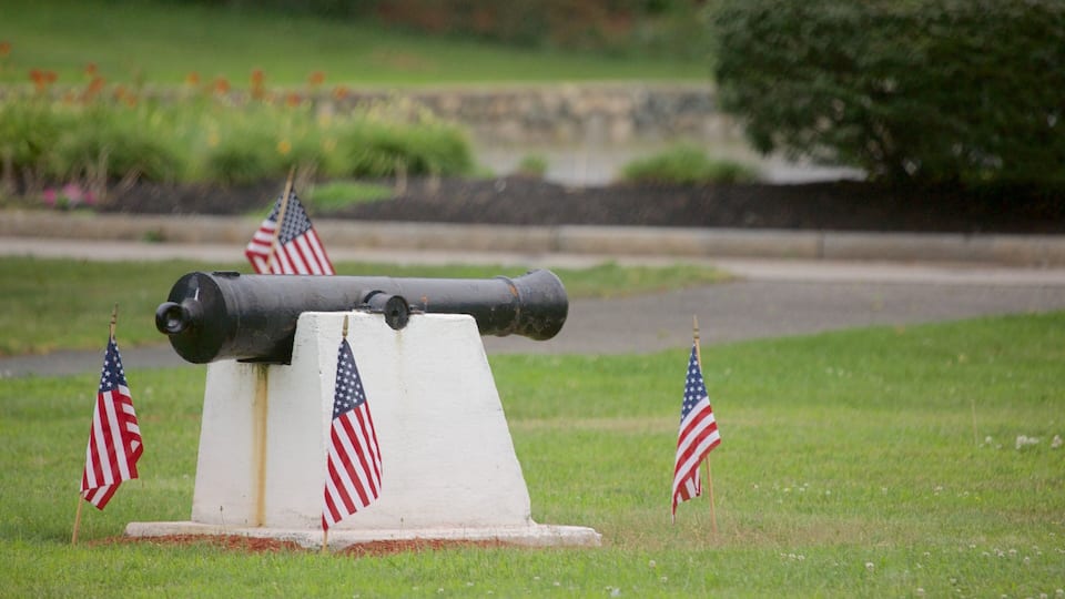 A cannon on a white base with American flags, set in a grassy field.
