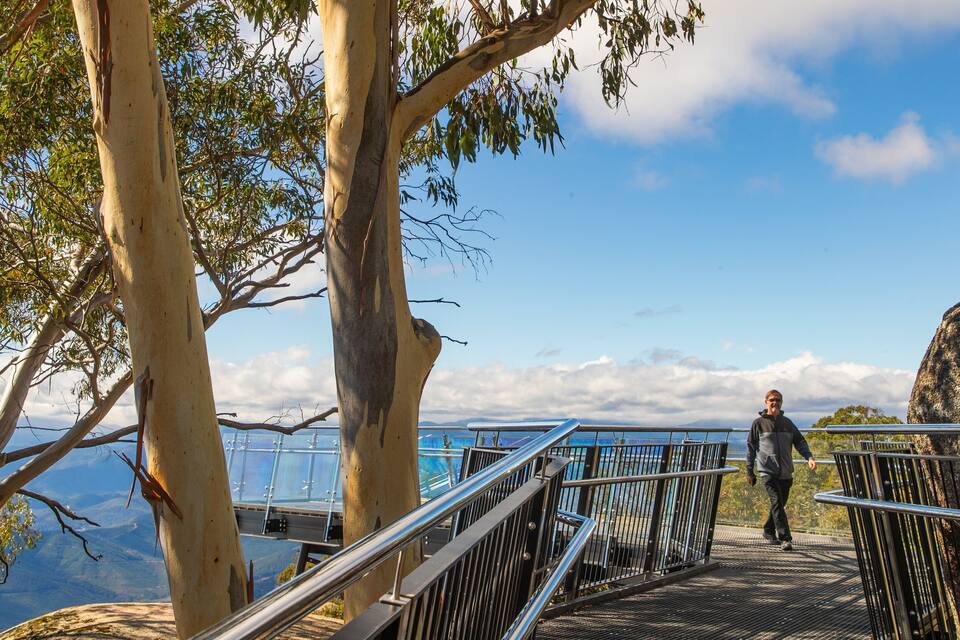A person walking on a metal bridge with glass railings, surrounded by eucalyptus trees and overlooking a scenic landscape.
