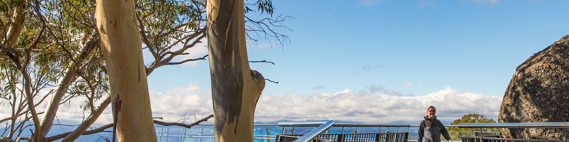 Mount Buffalo National Park which includes views as well as an individual male