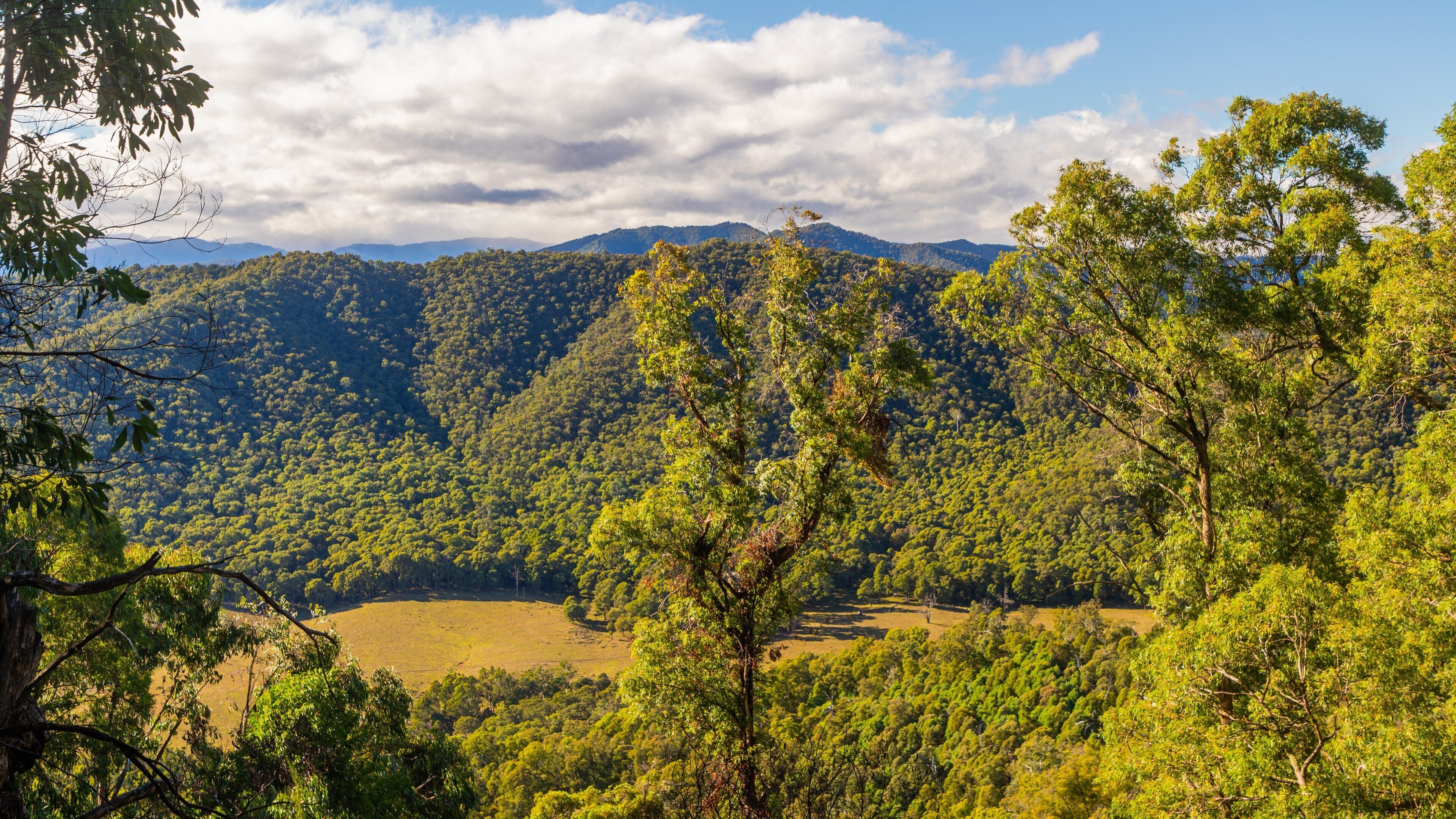 Mount Buffalo National Park showing landscape views, mountains and tranquil scenes