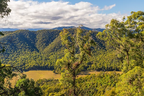 A mountainous landscape with dense green forests and a clear sky.