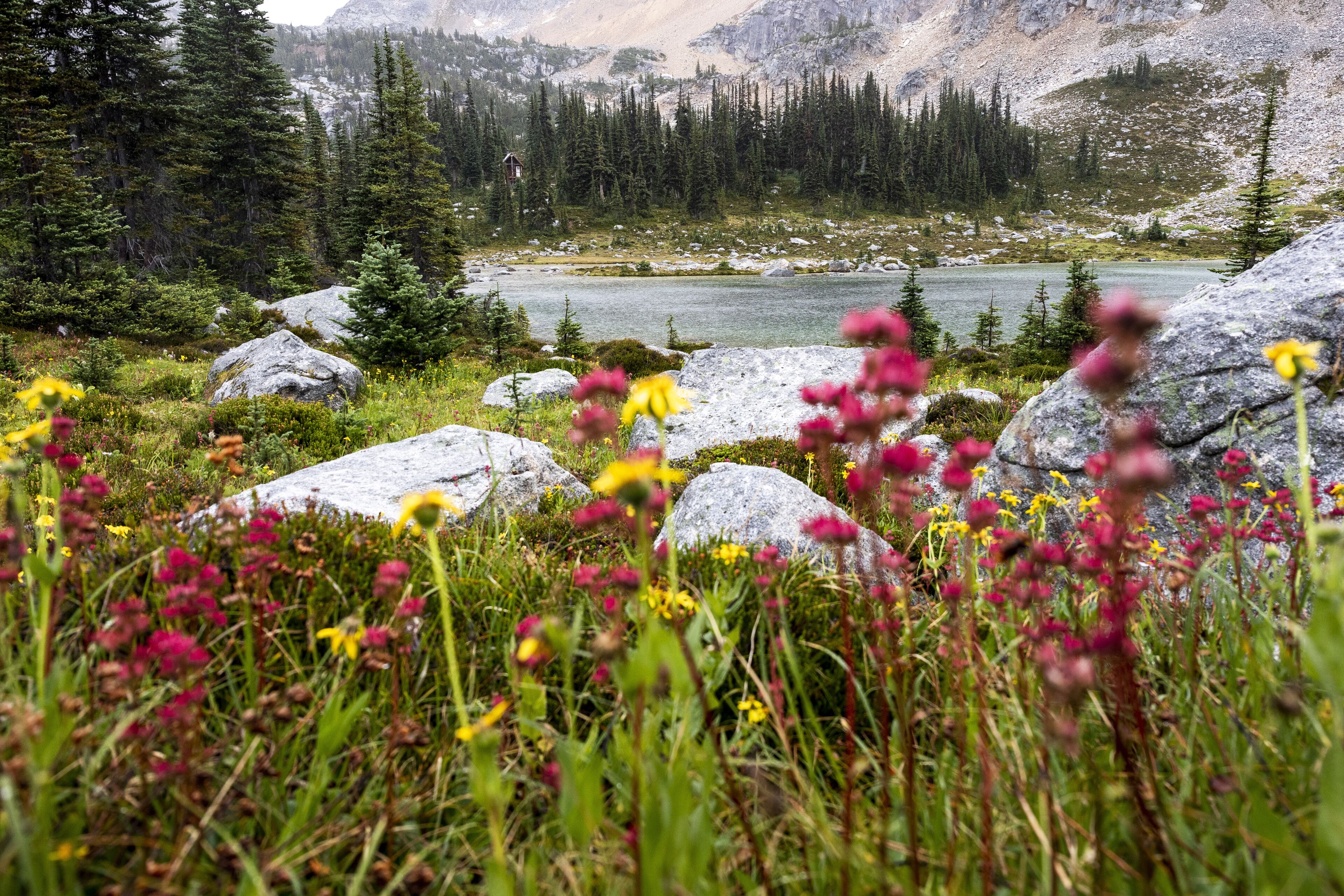 Amazing view of calm lake and meadow in mountains on rainy day