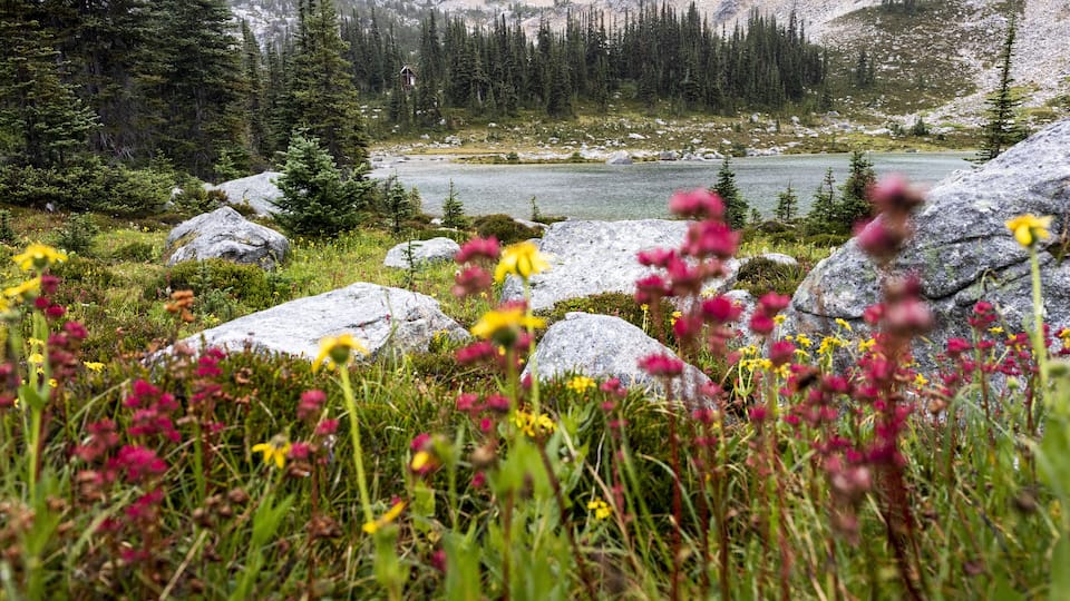 A mountainous landscape with a lake, surrounded by dense forests and large boulders.