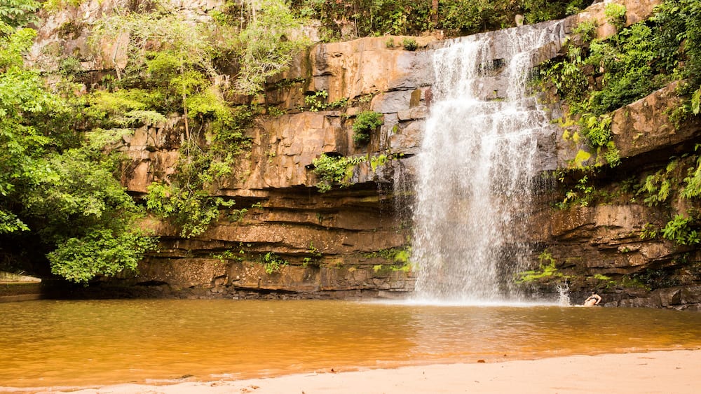 A waterfall cascading down a rocky cliff into a calm river surrounded by lush greenery.