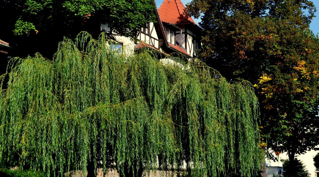 Haus am Harfenacker 9, 04179 Leipzig